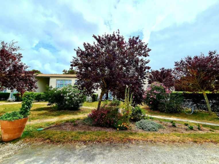 Saint-Martin-de-Ré Appartement 91 Palais Des Gouverneurs מראה חיצוני תמונה
